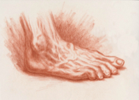 Human Foot 2